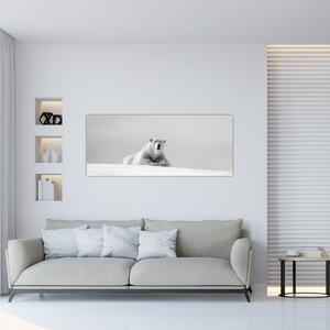 Kép - Jegesmedve, fekete-fehér (120x50 cm)