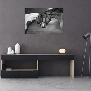 Kép - Szerelmes lovak, fekete-fehér (90x60 cm)