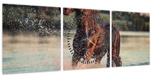 Kép - Futó ló (órával) (90x30 cm)