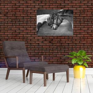 Kép - Szerelmes lovak, fekete-fehér (70x50 cm)