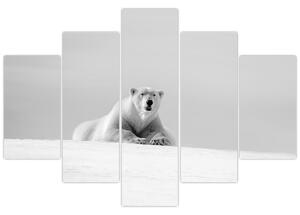 Kép - Jegesmedve, fekete-fehér (150x105 cm)