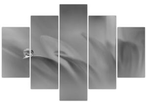 Kép - Csepp a virágon, fekete-fehér (150x105 cm)