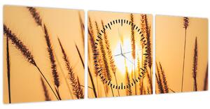 Kép - Füvek a napon (órával) (90x30 cm)