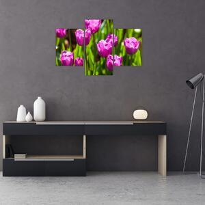Tulipánok a réten képe (90x60 cm)