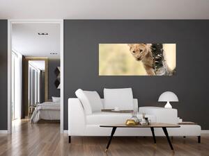 Egy oroszlán kölyök képe (120x50 cm)