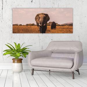 Kép - Az elefánt érkezése (120x50 cm)