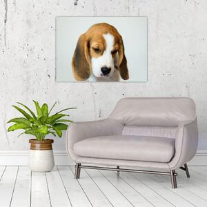 Beagle képe (70x50 cm)