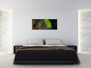 Papagáj egy ágon képe (120x50 cm)