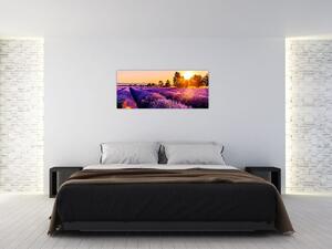 Levandula mező képe (120x50 cm)