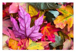 Kép - őszi levelek (90x60 cm)