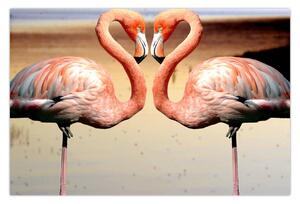 Kép - két flamingó (90x60 cm)