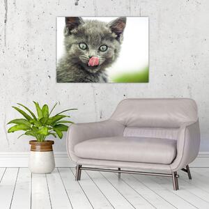 Nyaló cica képe (70x50 cm)