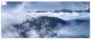 Egy erdő képe a ködben (120x50 cm)