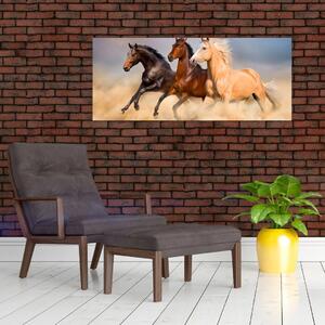 Kép - Vad lovak (120x50 cm)