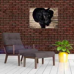 Egy fekete kiskutya képe (70x50 cm)