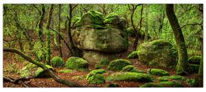 Egy varázslatos erdő képe (120x50 cm)