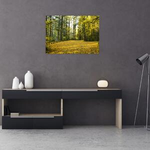 Kép - erdő ősszel (70x50 cm)