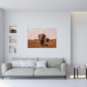 Kép - Az elefánt érkezése (90x60 cm)