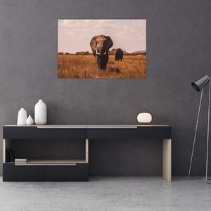 Kép - Az elefánt érkezése (90x60 cm)