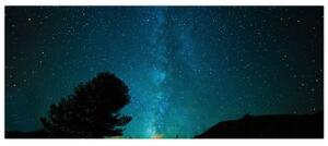 Egy éjszakai égbolt csillagokkal (120x50 cm)