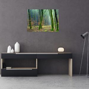 Az erdő képe (70x50 cm)
