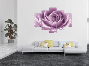 Egy rózsa virág részlete (150x105 cm)
