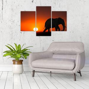 Elefánt képe naplementekor (90x60 cm)