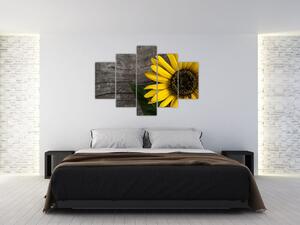 Kép - Napraforgó virága (150x105 cm)