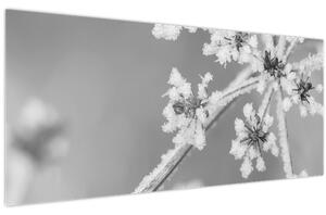 Kép - Fagyasztott növény (120x50 cm)