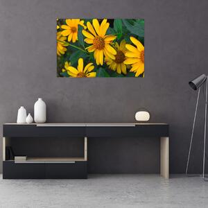 Sárga virágok képe (90x60 cm)