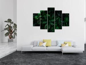 Kép - trópusi páfrány (150x105 cm)