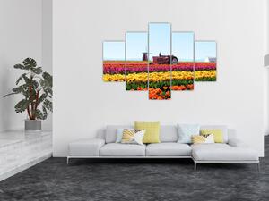 Tulipánfarm képe (150x105 cm)