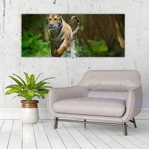 Futó tigris képe (120x50 cm)
