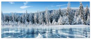 Kép a befagyott tóról és a havas fákról (120x50 cm)