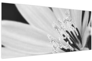 Kép - Fekete-fehér virág (120x50 cm)