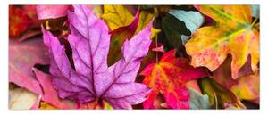 Kép - őszi levelek (120x50 cm)