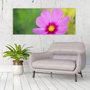 Kép - réti virág (120x50 cm)