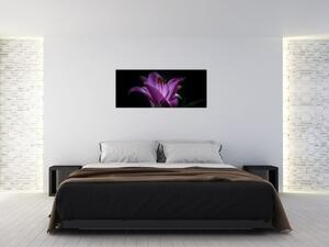 A liliom képe (120x50 cm)