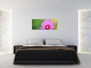 Kép - réti virág (120x50 cm)
