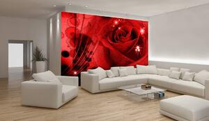 Fotótapéta - Piros rózsa (152,5x104 cm)
