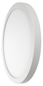 Kerek mennyezeti lámpa, króm kerettel 230V, 50Hz, 18W, 1500lm, 4000K, D=225mm, EEI=G