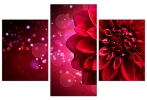 Piros virágok képe (90x60 cm)