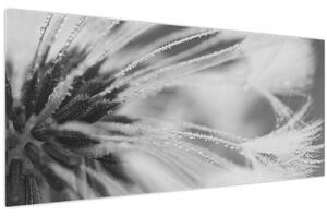 Kép - Pitypang (120x50 cm)