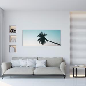 Kép - Pálmafa Balin (120x50 cm)