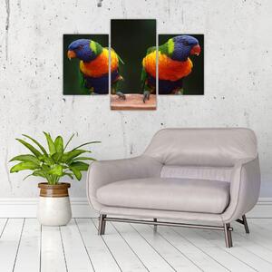 Papagájok képe (90x60 cm)