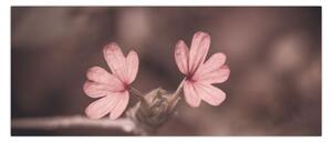Rózsaszín virág képe (120x50 cm)
