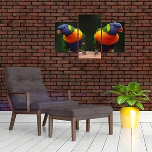 Papagájok képe (90x60 cm)