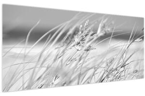 Kép - Strandfű (120x50 cm)