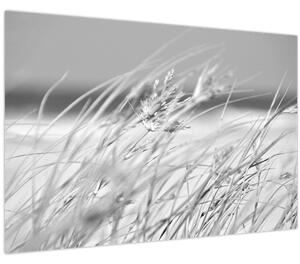Kép - Strandfű (90x60 cm)