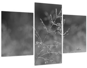 Kép - Vidéki rét (90x60 cm)